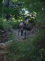 07-08-2010 09h25 28